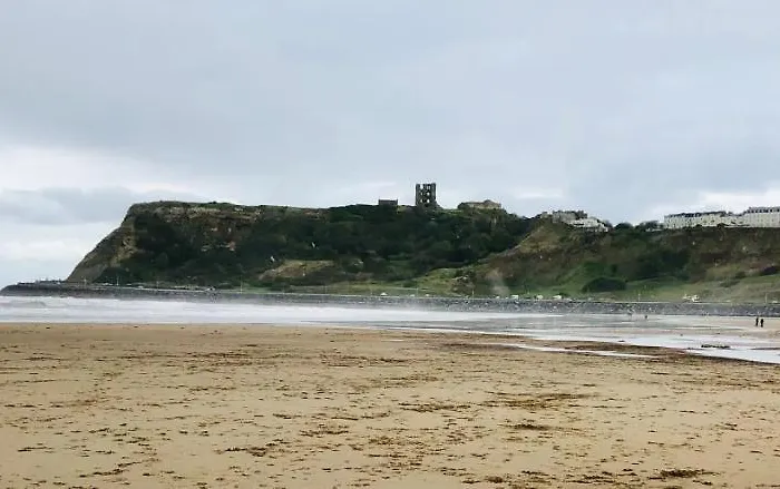 North Sea View 아파트